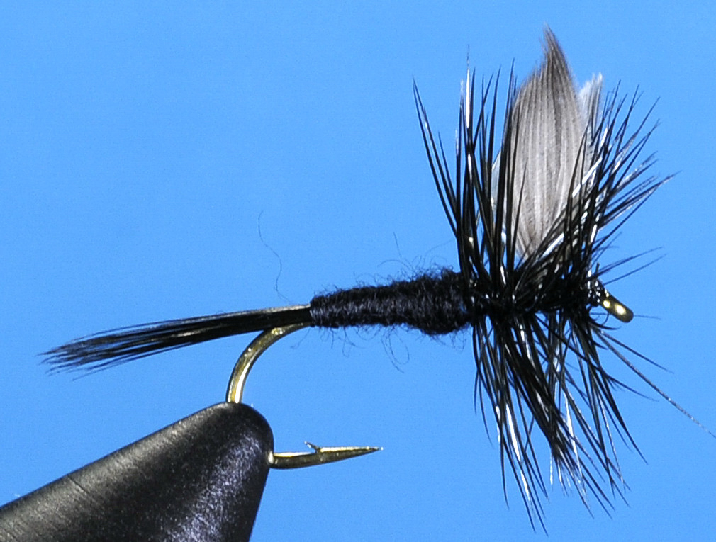 J21-01BKGN product image