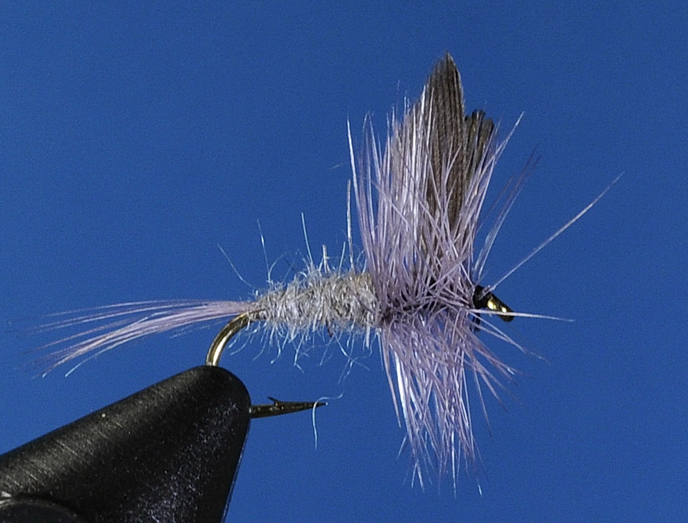 J21-01BLDN product image