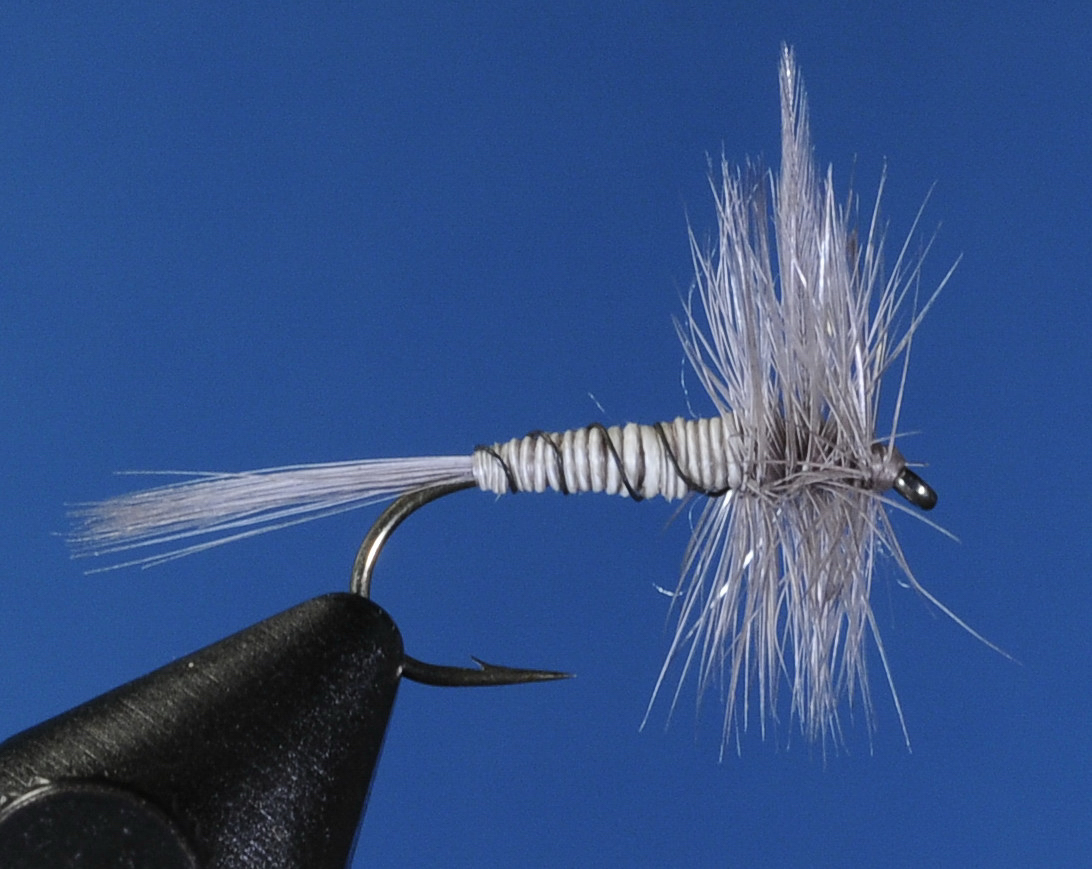 J21-01BLQL product image