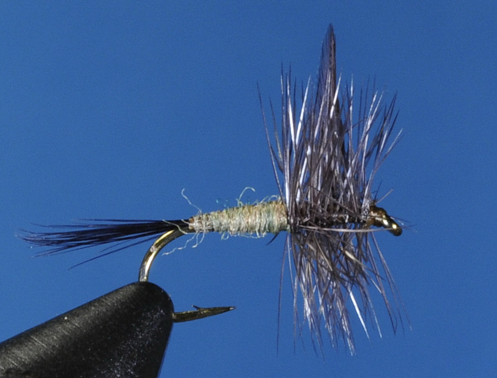 J21-01BWOD product image