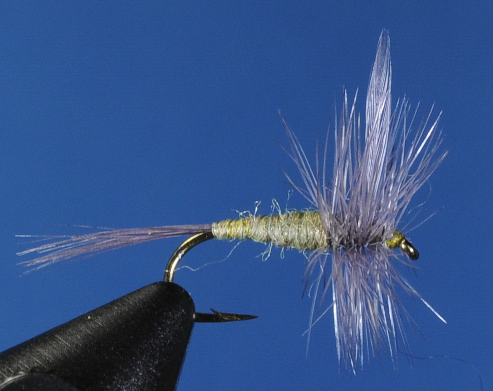 J21-01BWOL product image