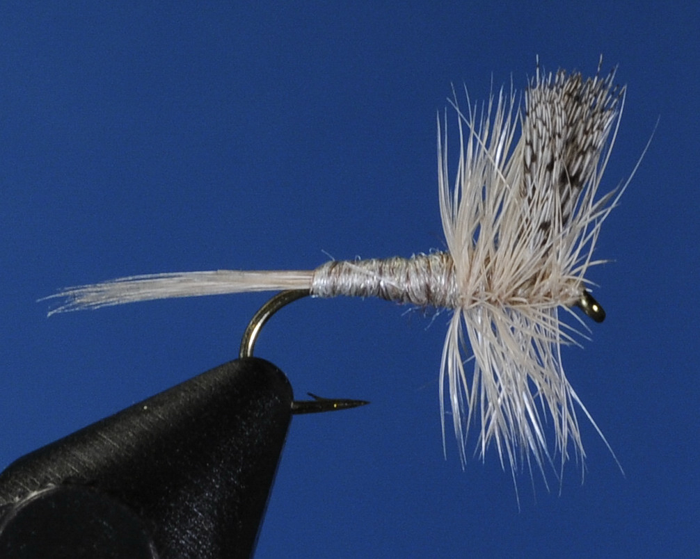 J21-01CALL product image