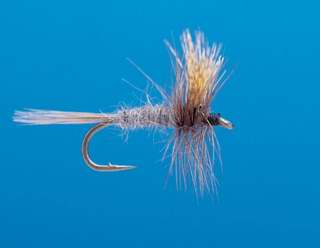 J21-01CHDK product image