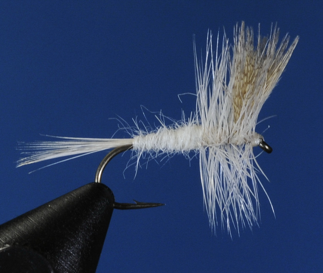 J21-01CHLT product image