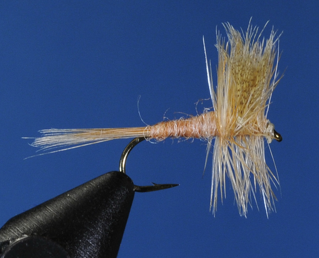 J21-01CHPK product image