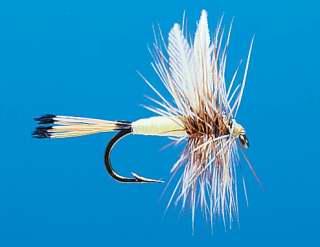 J21-01CHWH product image