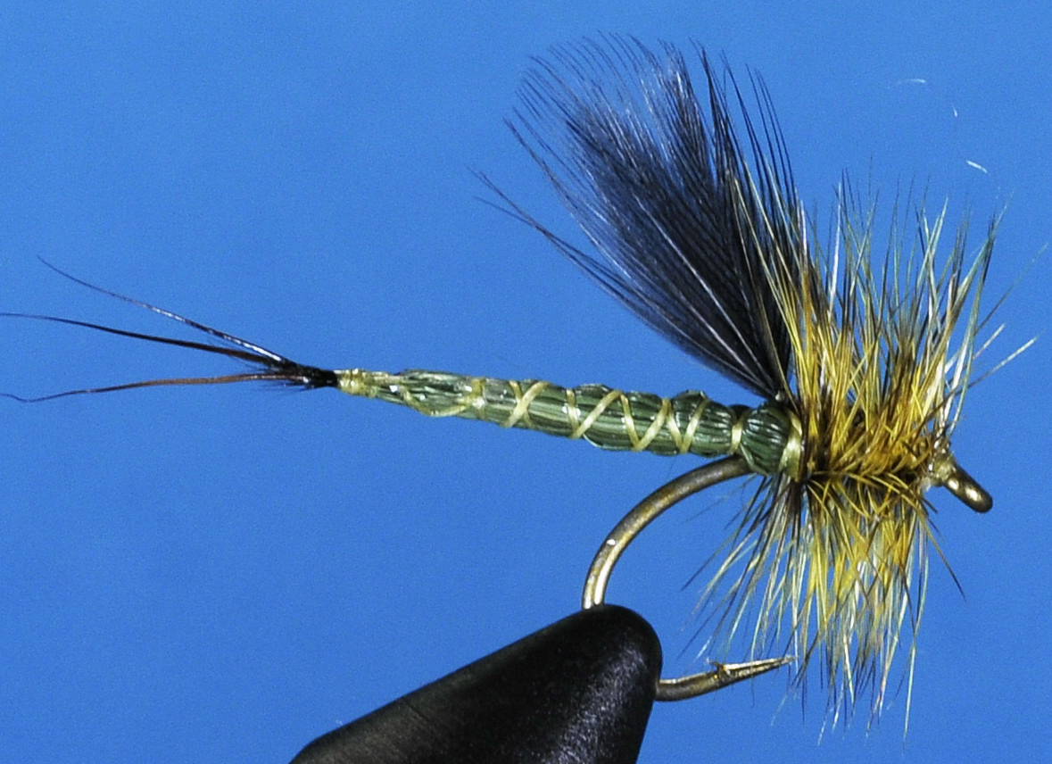 J21-01EBGN product image