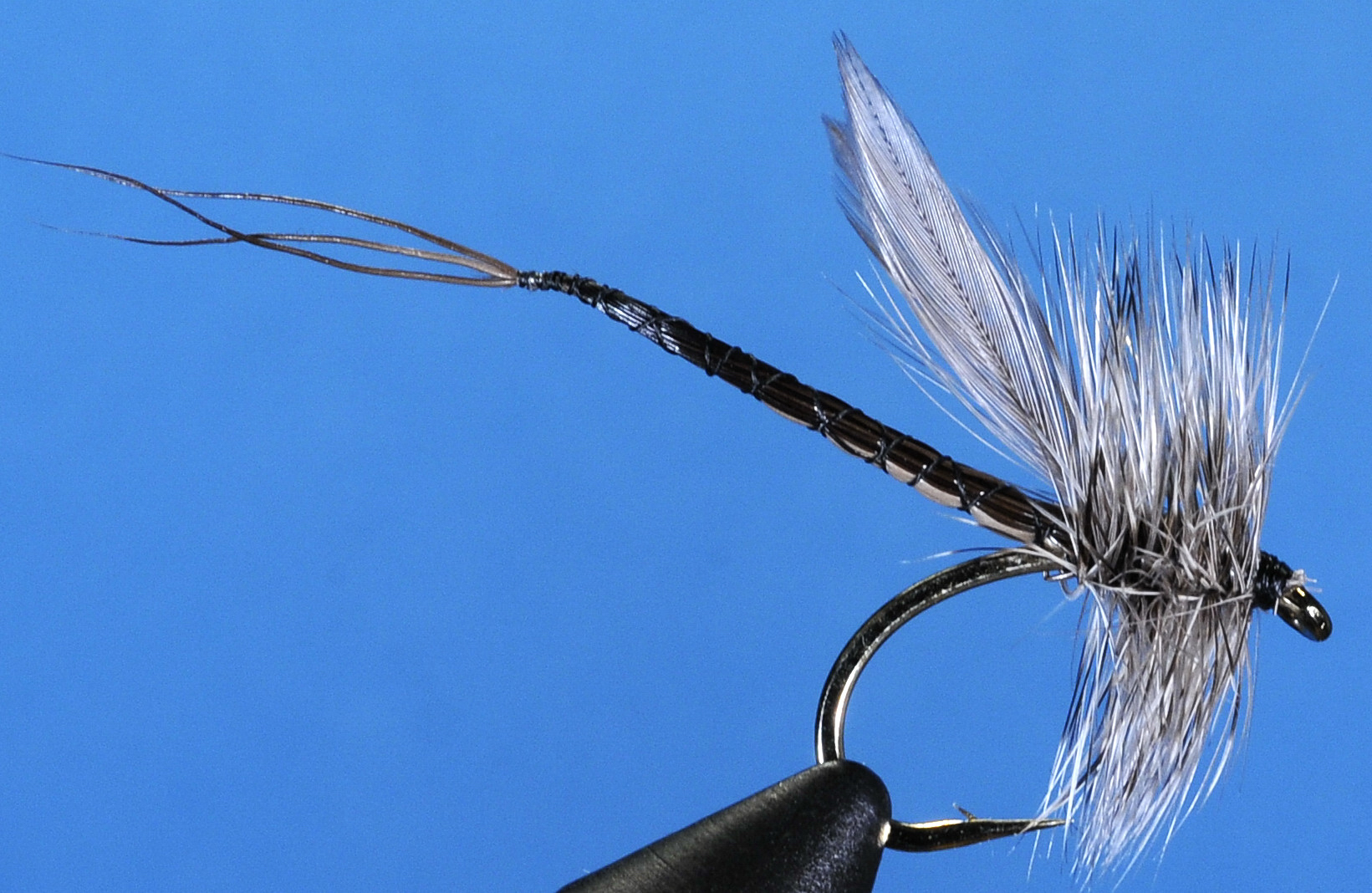 J21-01EBGY product image