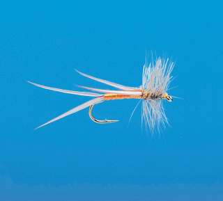 J21-01FTOR product image