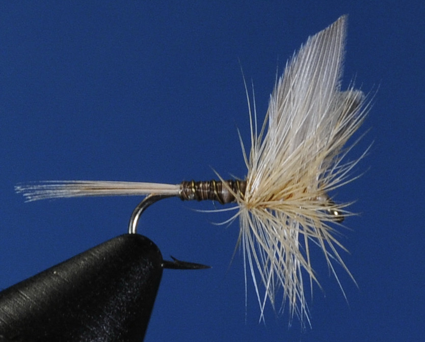 J21-01GNGQ product image