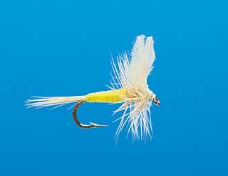 J21-01JMCH product image