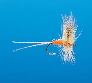 J21-01MFOR product image