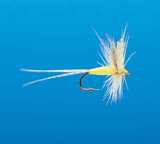 J21-01MFYL product image