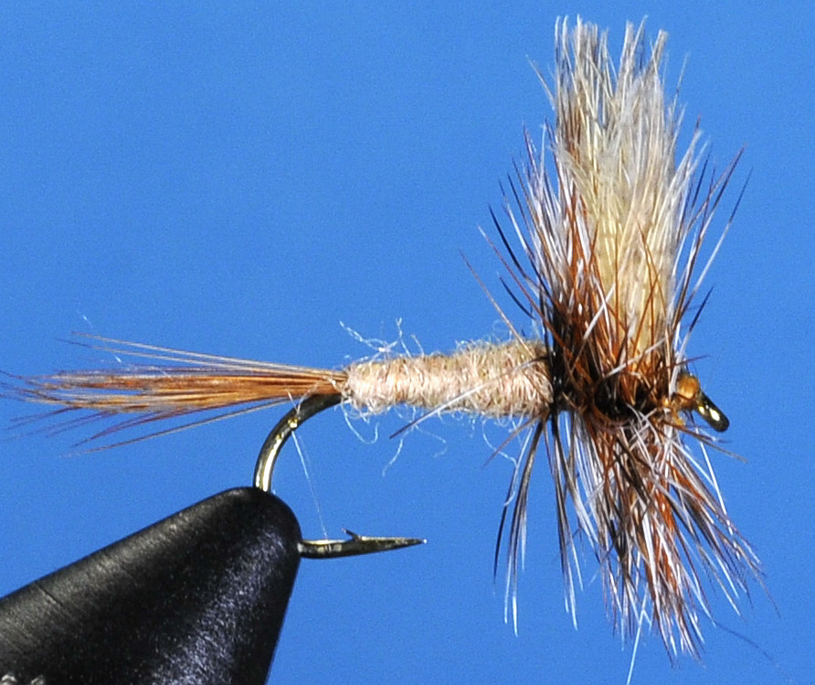 J21-01MRBN product image