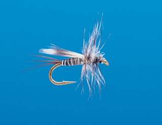 J21-01MSQC product image