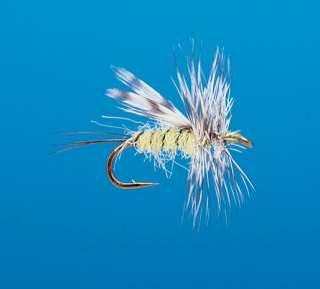 J21-01MSQG product image