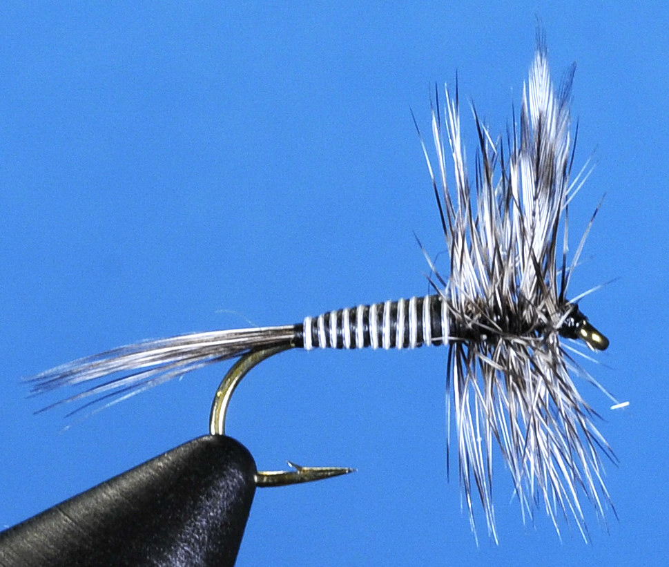 J21-01MSQM product image