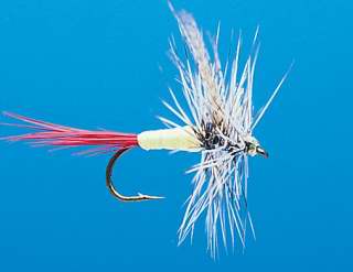 J21-01NCGH product image