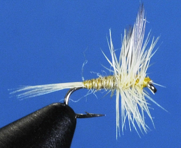 J21-01ODLT product image