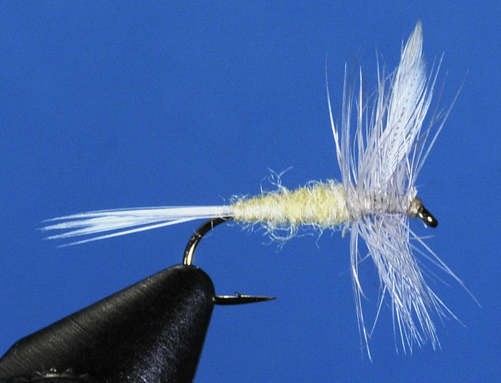 J21-01PEDN product image