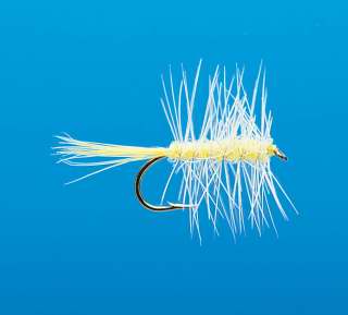 J21-01PLJC product image