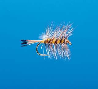 J21-01PLOR product image