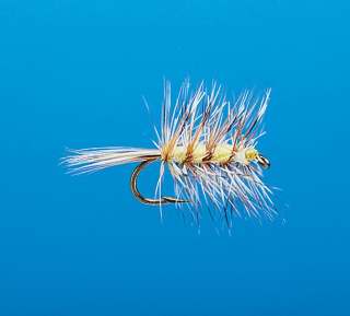 J21-01PLYL product image