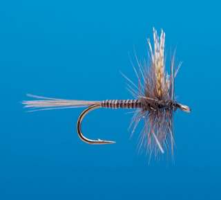 J21-01QLGD product image