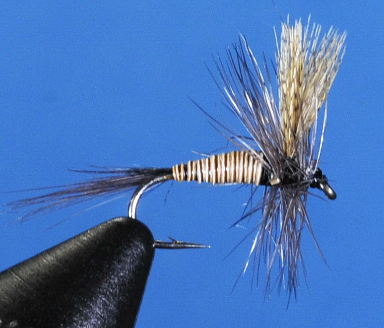 J21-01RDQL product image