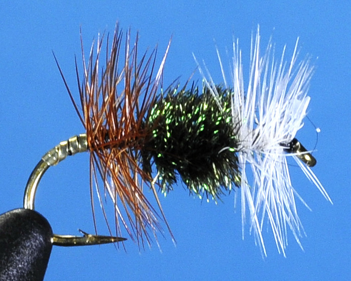 J21-01RENG product image