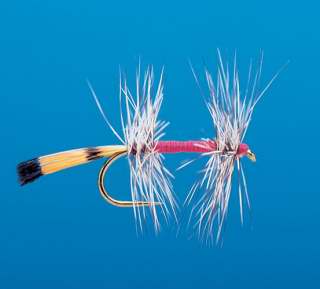 J21-01SBRS product image