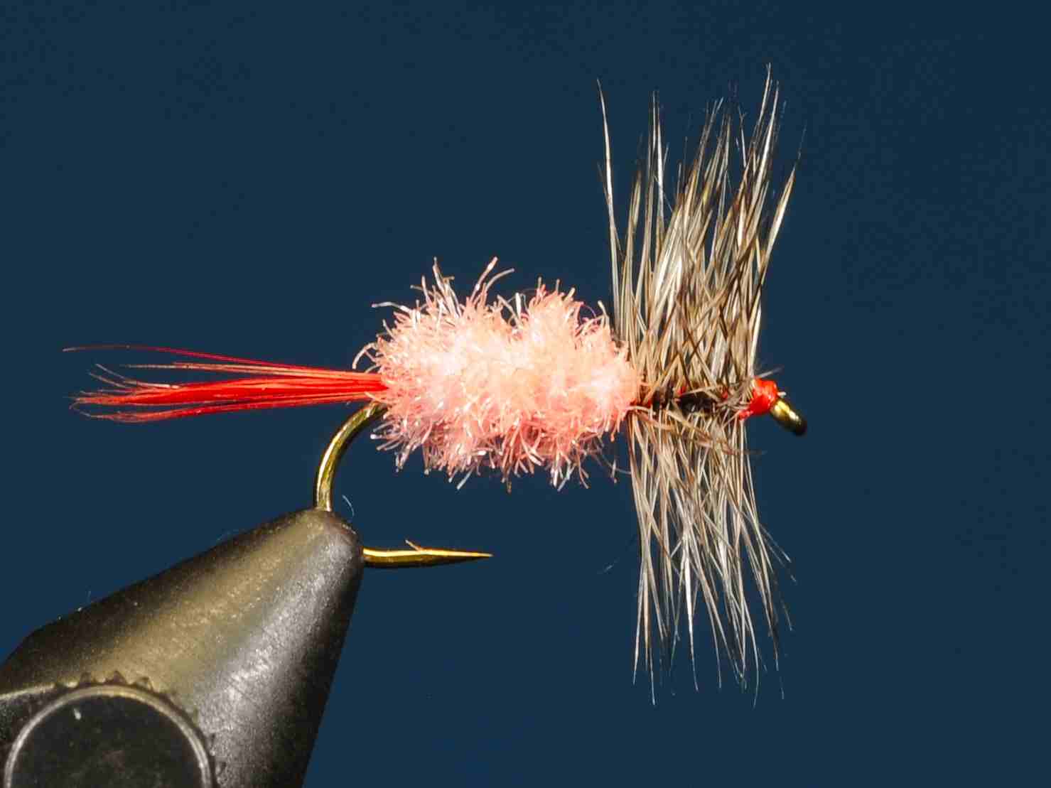 J21-01SLPK product image