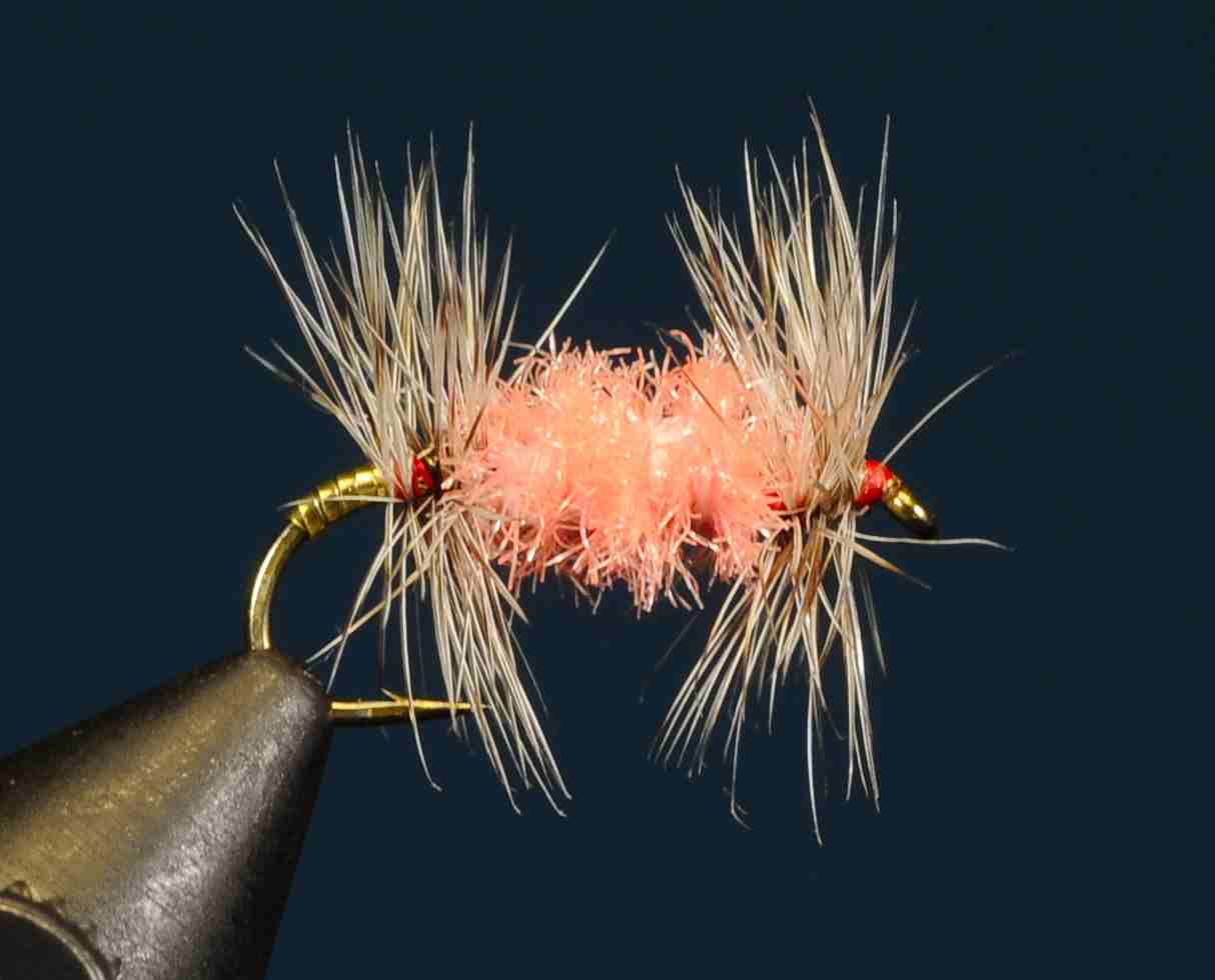 J21-01SLRN product image