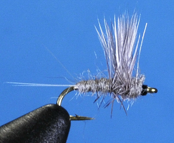 J21-02BLDN product image