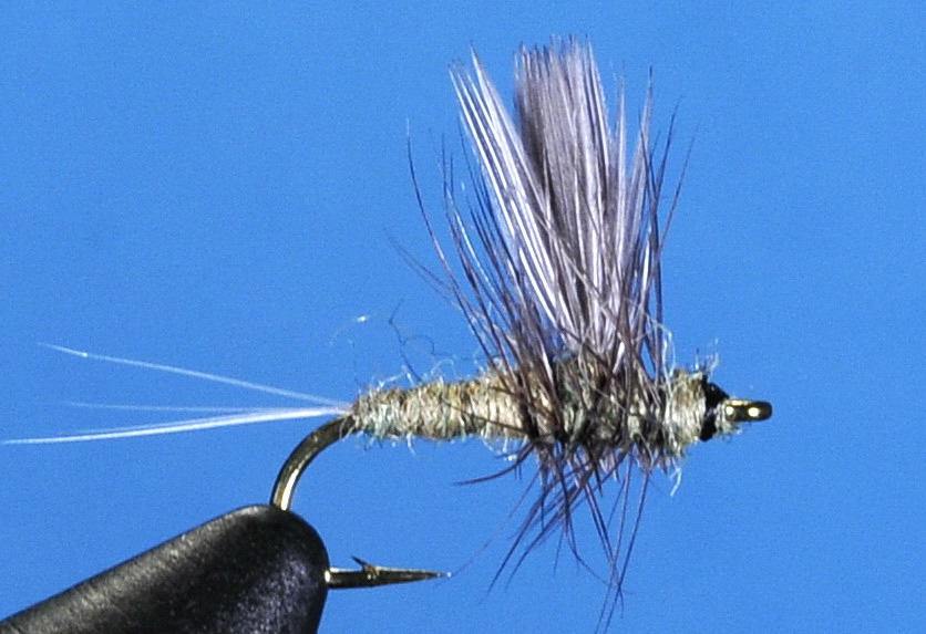 J21-02BWOD product image