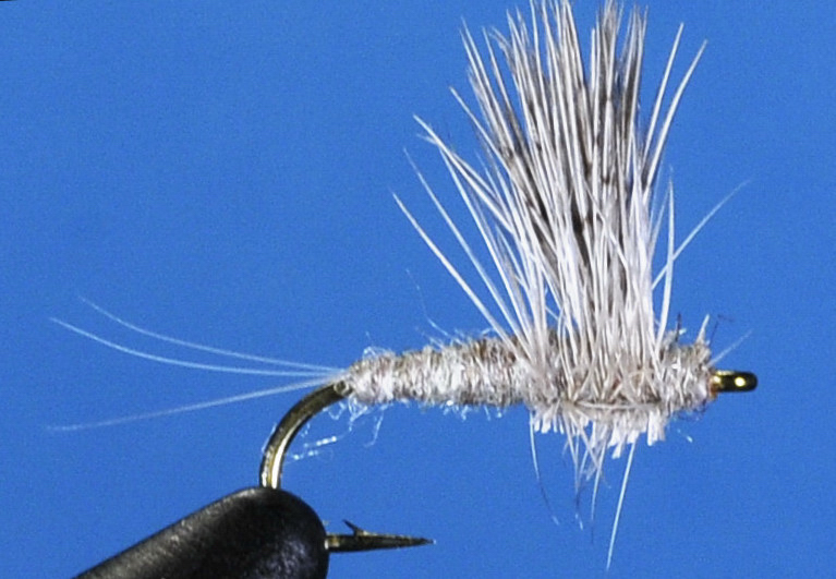 J21-02CALL product image