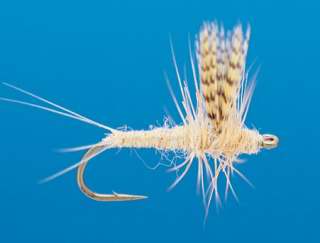 J21-02CHLT product image