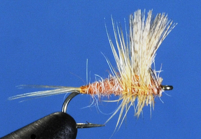 J21-02CHPK product image