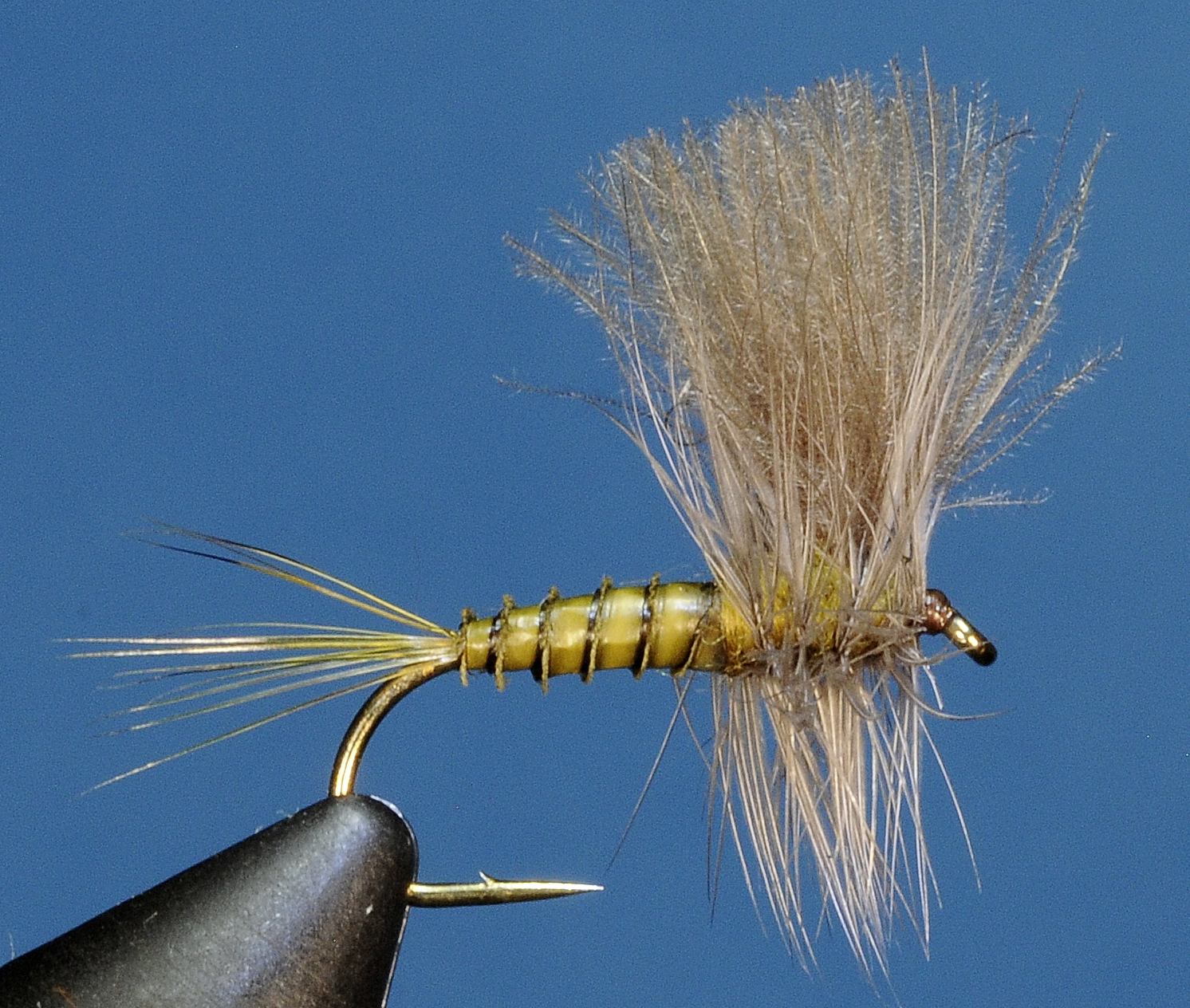 J21-02CWGD product image