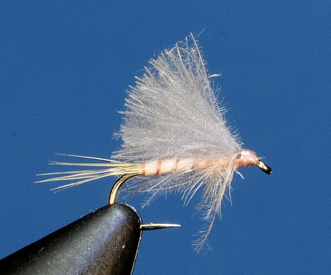 J21-02CWPC product image