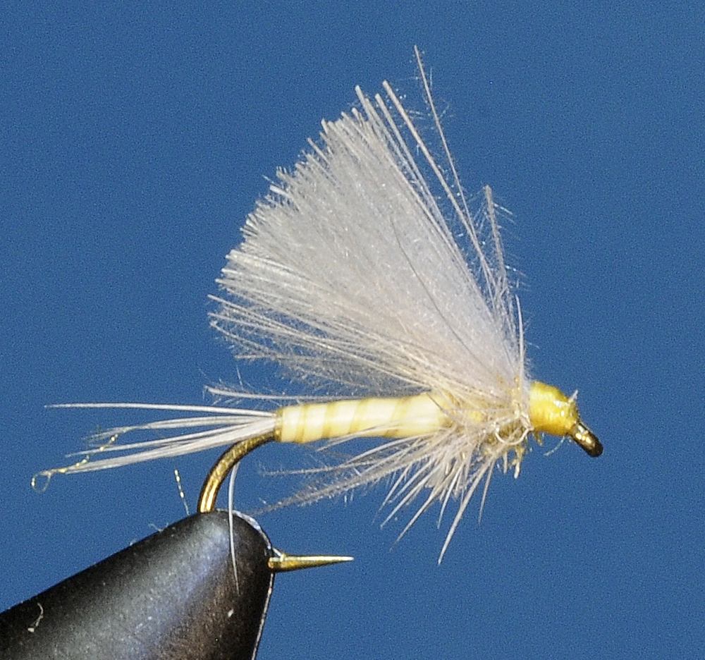 J21-02CWPM product image