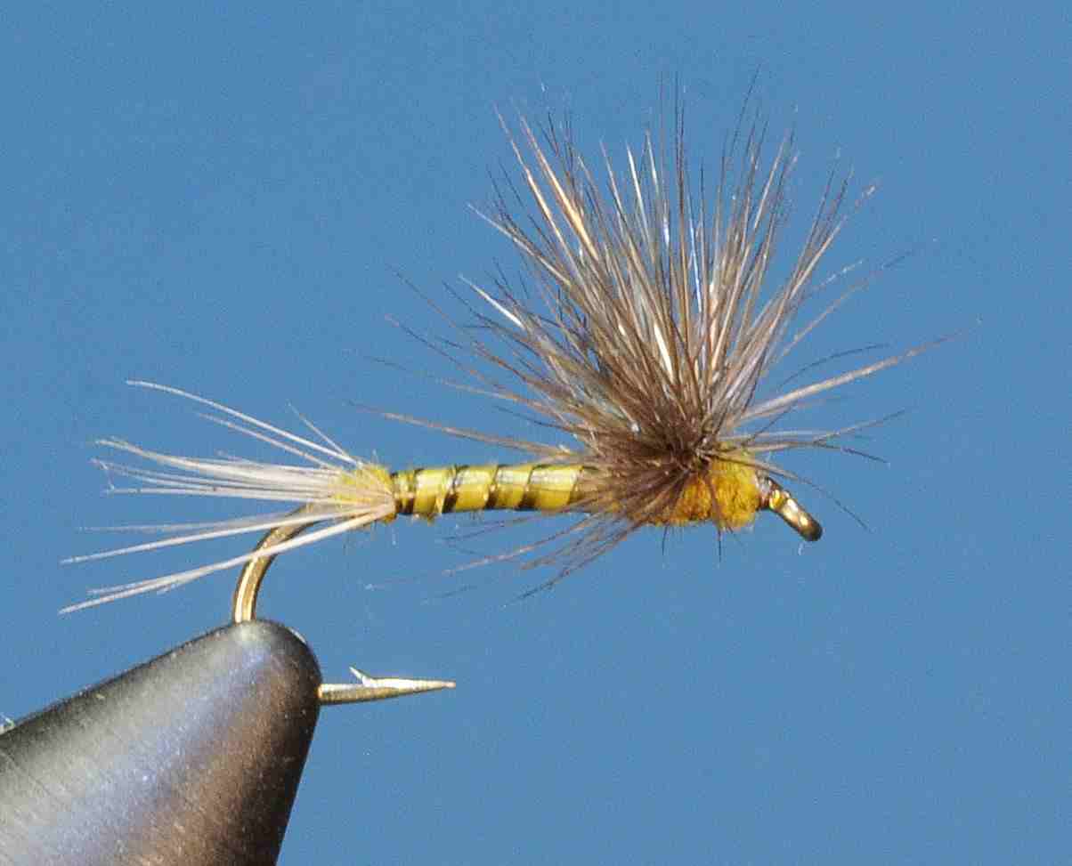 J21-02HDBW product image