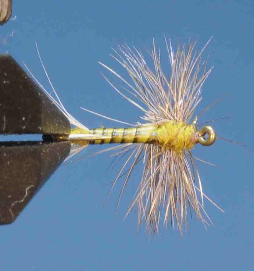 J21-02HDBW product image