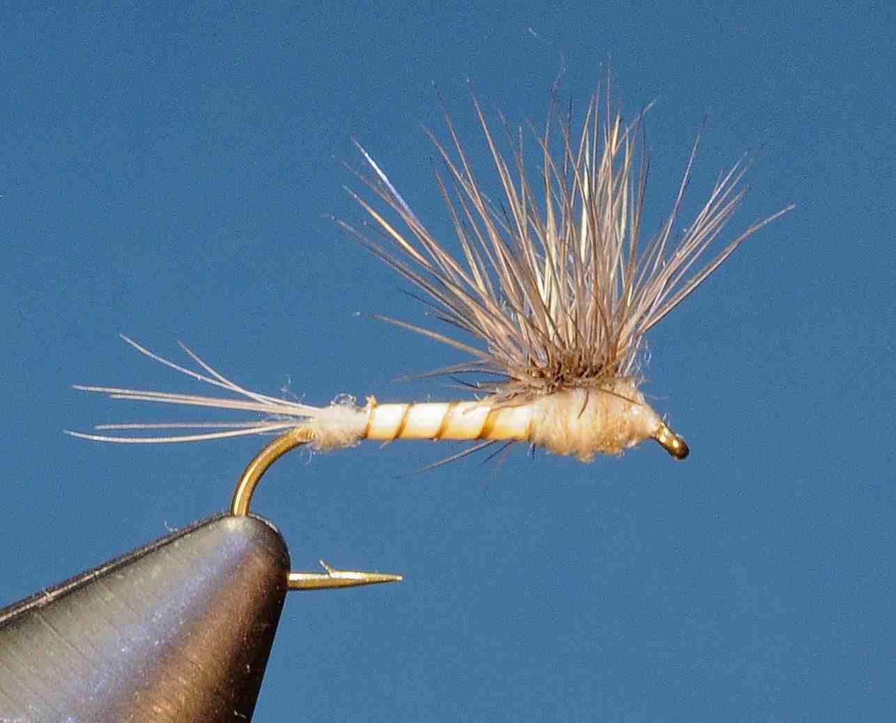 J21-02HDCL product image