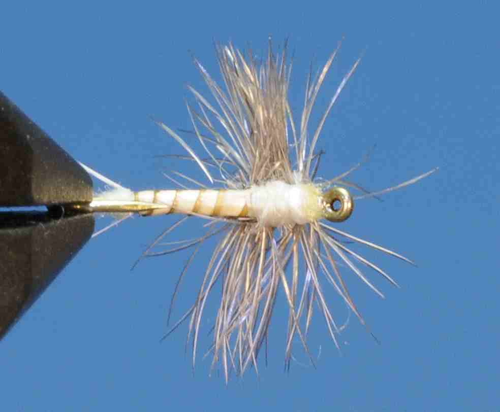 J21-02HDCL product image