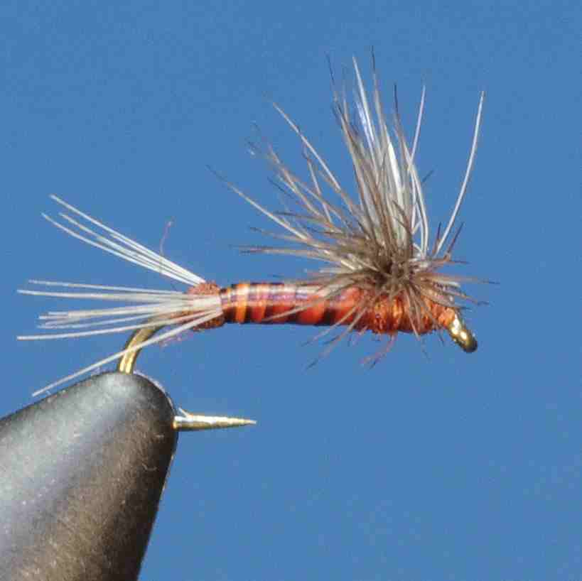 J21-02HDMA product image