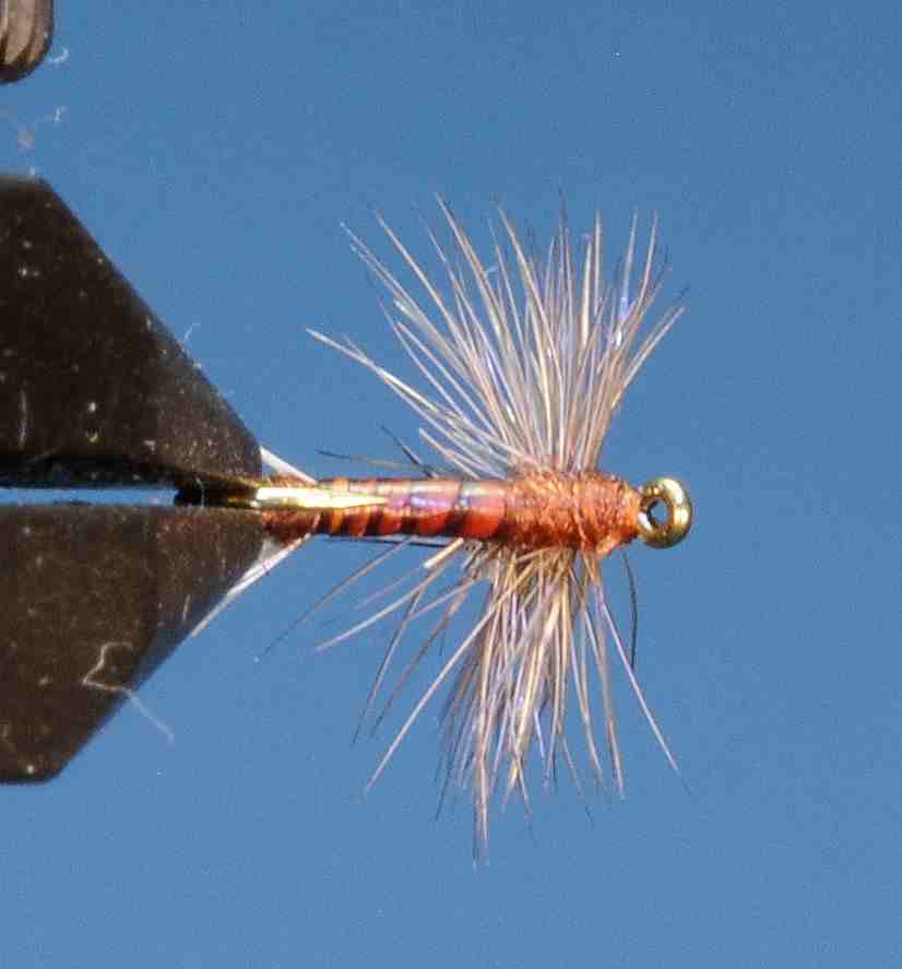 J21-02HDMA product image