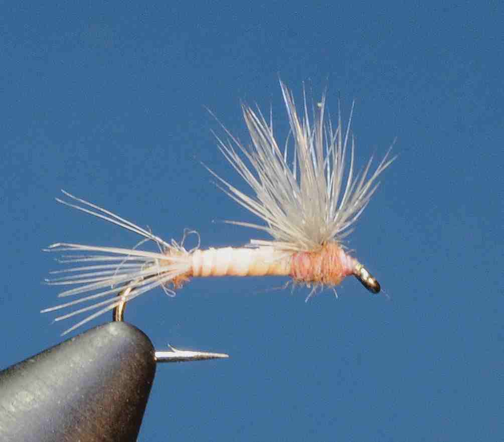 J21-02HDPC product image