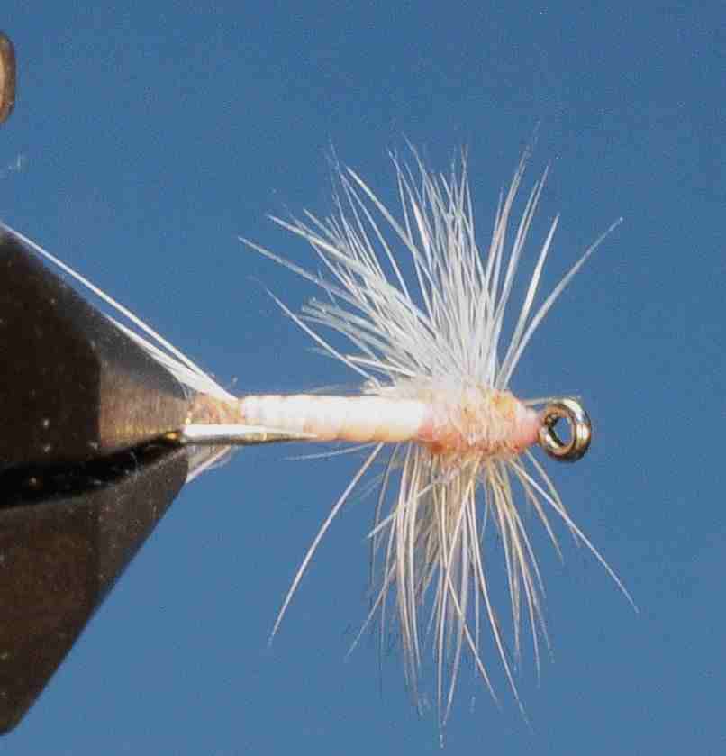 J21-02HDPC product image