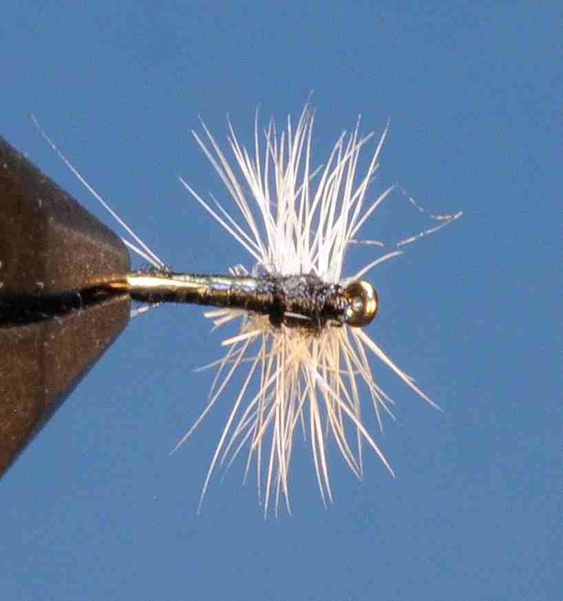 J21-02HDTC product image